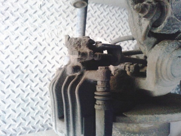 P1029_10-04-10.JPG