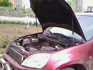 IMG0014A.jpg