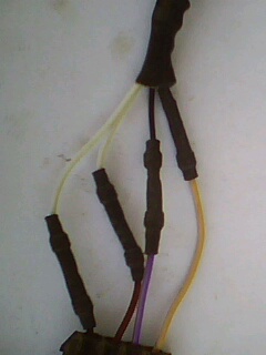 IMG0038A.jpg