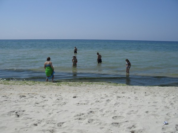 SDC10010.JPG