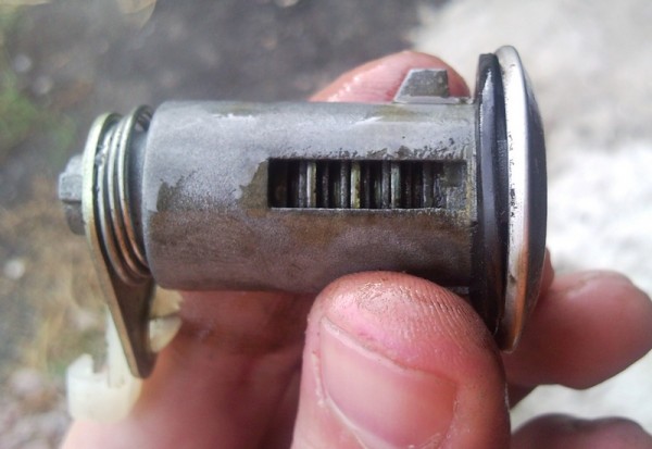 SNC00182_cr.jpg
