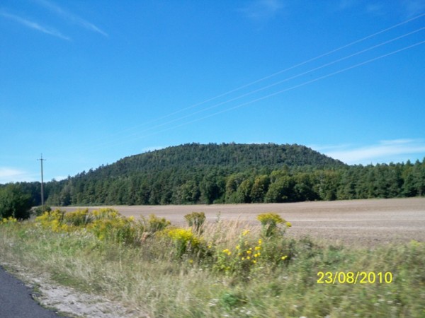 100_2295.jpg