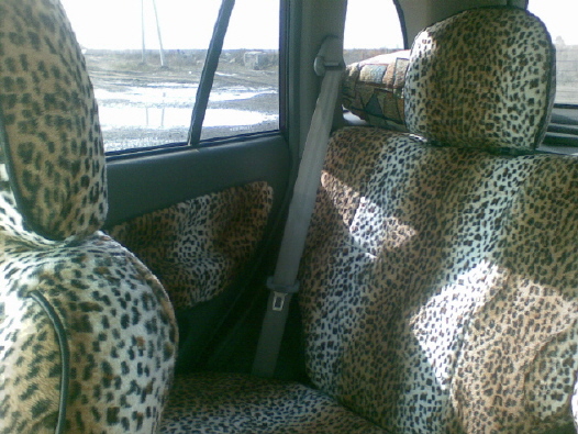 14093_1206459906.jpg_538.jpg