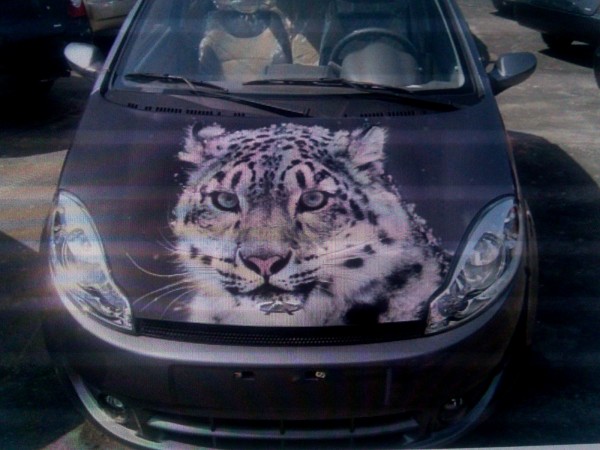 Фото0262ytuk.jpg