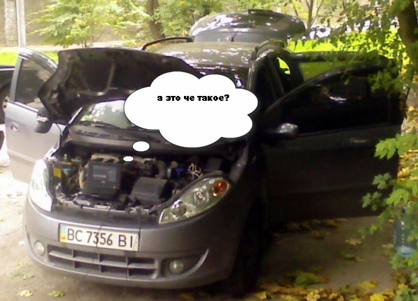 SP_A1535.jpg