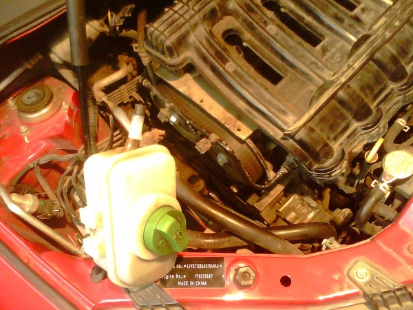 IMG0496A.jpg