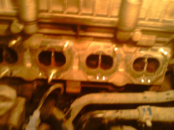 IMG0501A.jpg