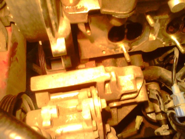 IMG0505A.jpg