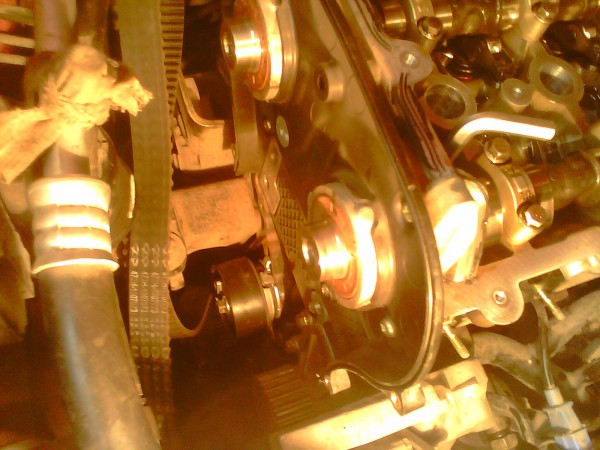 IMG0507A.jpg