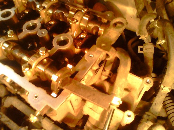 IMG0509A.jpg