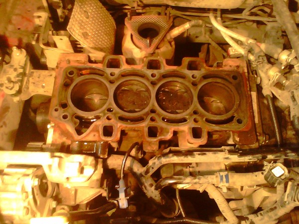 IMG0512A.jpg