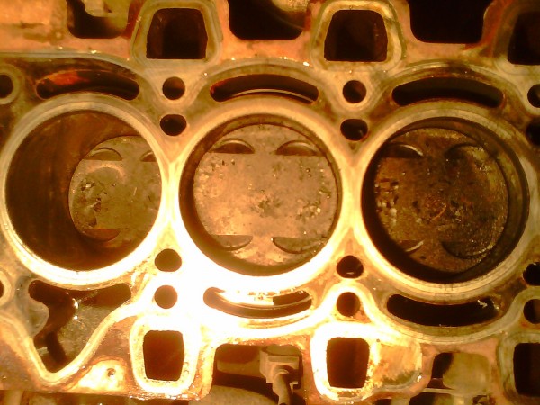 IMG0514A.jpg