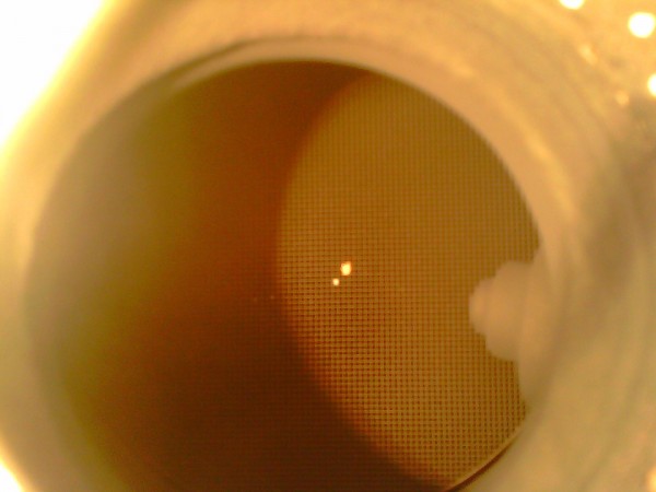 IMG0515A.jpg