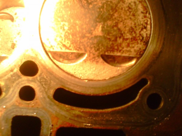 IMG0517A.jpg