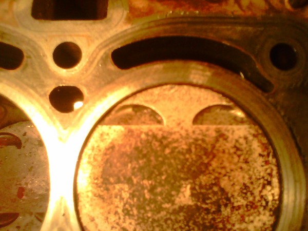 IMG0518A.jpg