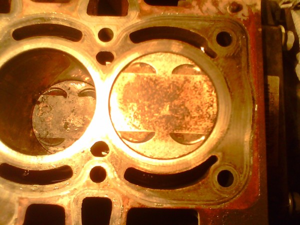 IMG0519A.jpg