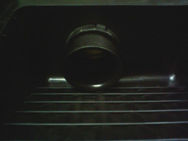 IMG0481A.jpg