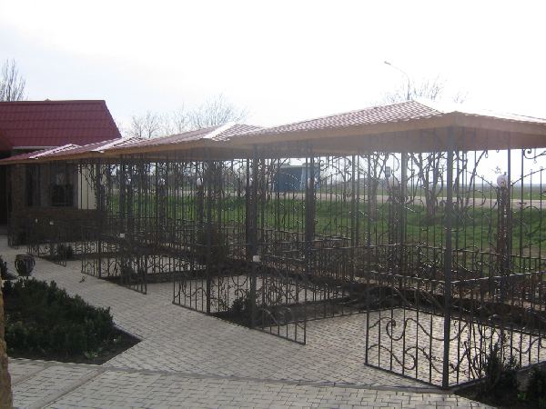 06.jpg