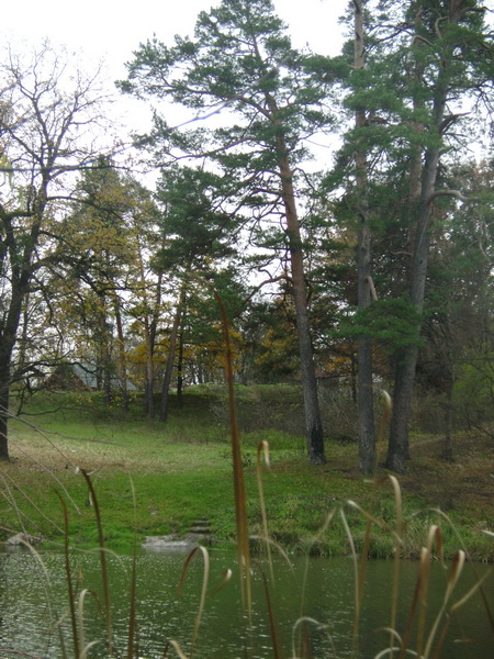 DSC04438.jpg