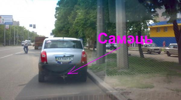 Самец.jpg