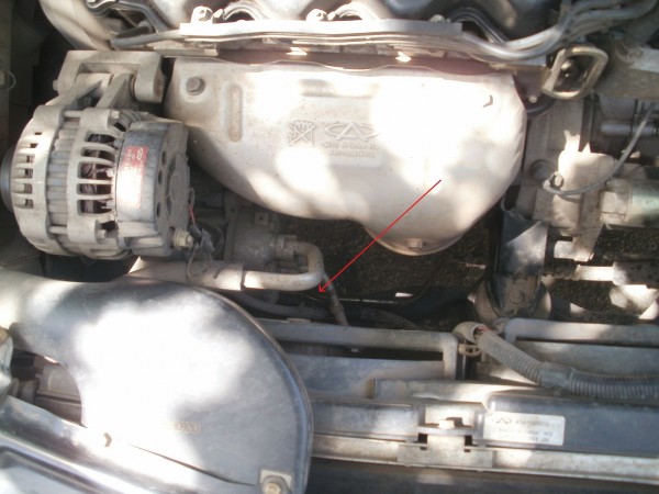 P6020159().jpg