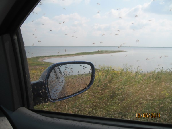 IMG_4790.JPG
