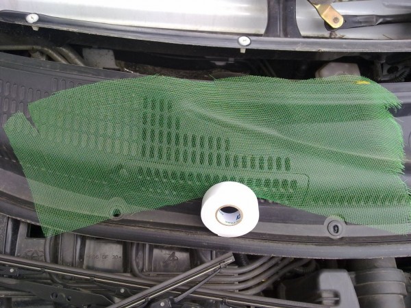 03072011054.jpg