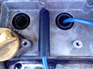 IMG0139A.jpg