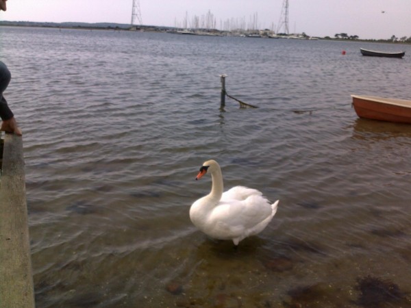 22052011017.jpg