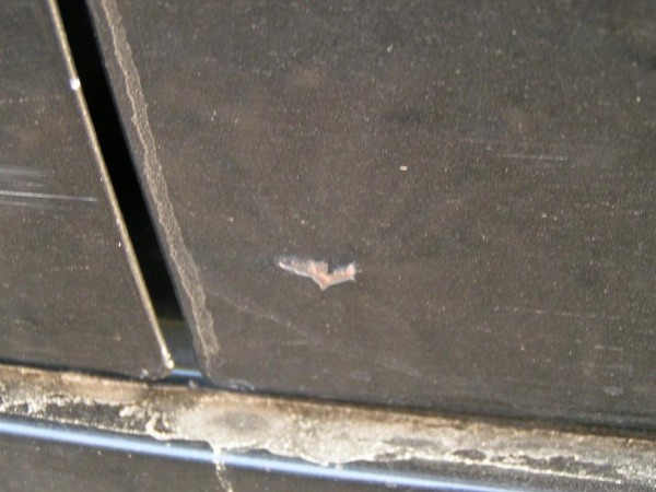 PICT0052.JPG