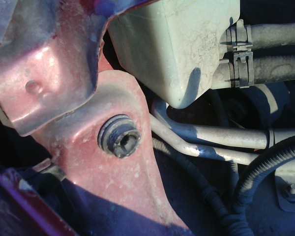 IMG0102A.jpg