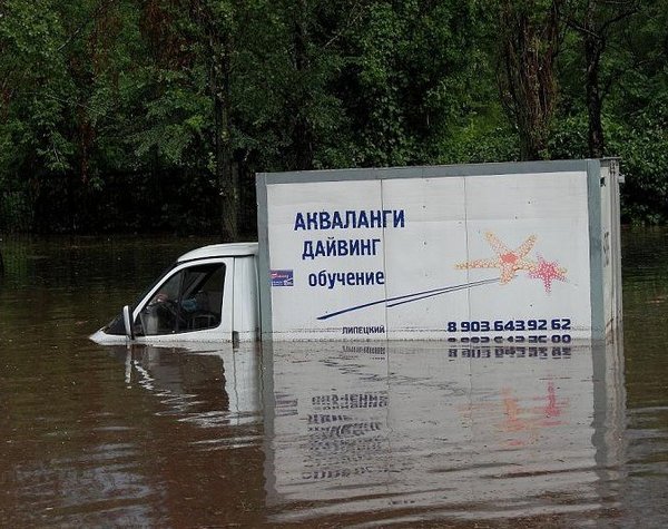 avar275.jpg