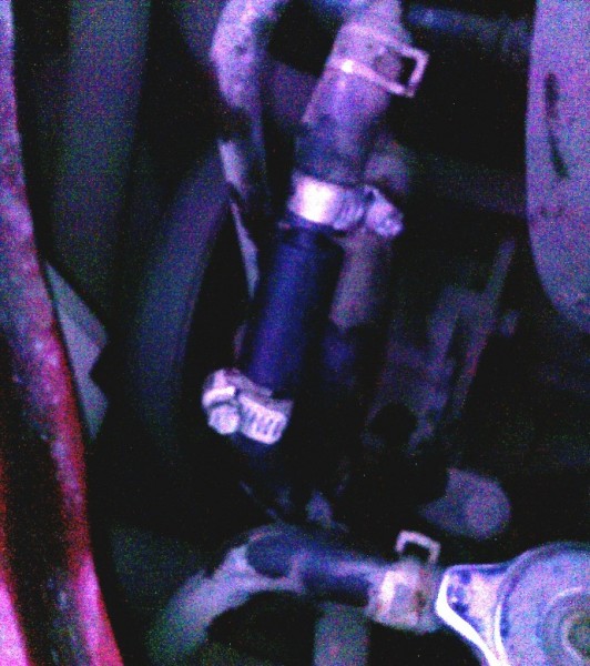 IMG0103A.jpg