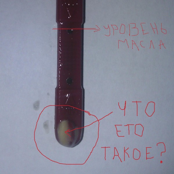 Щуп.jpg