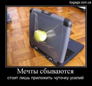 404548_261932640542749_100001780440986_629496_1557377755_n.jpg
