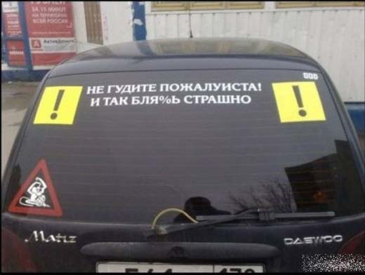 Дамочка за рулём.jpg
