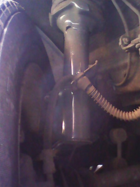IMG_20120423_075817.jpg