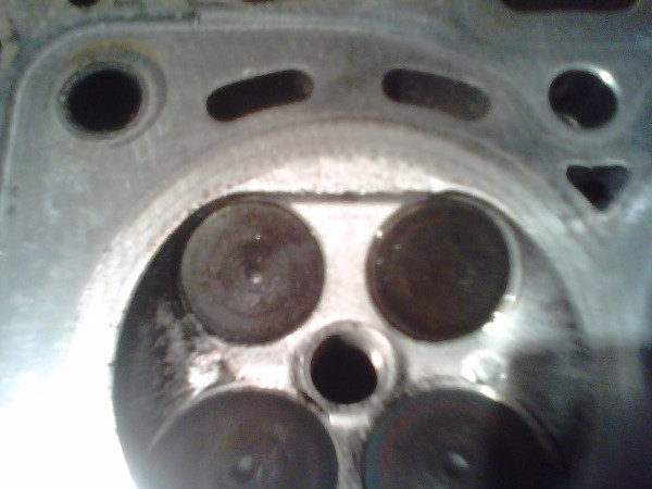 IMG0524A.jpg