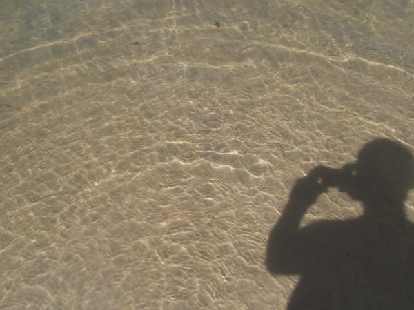 DSCF1731.JPG