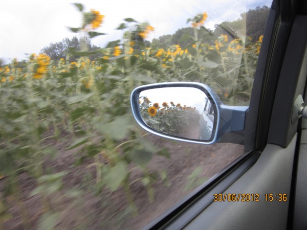 IMG_1891.JPG