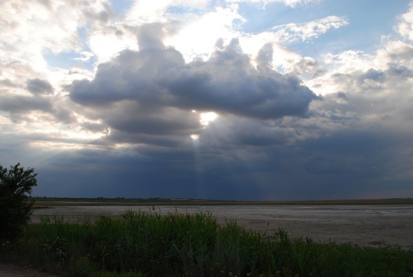 DSC_0169.JPG