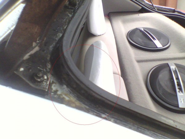 IMG0458A.jpg