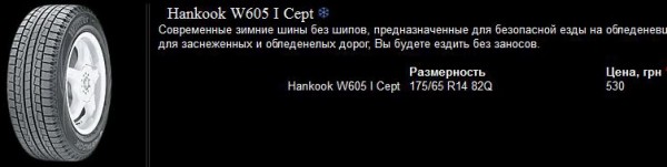 шина.jpg