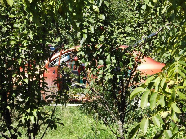 DSCF2060.JPG