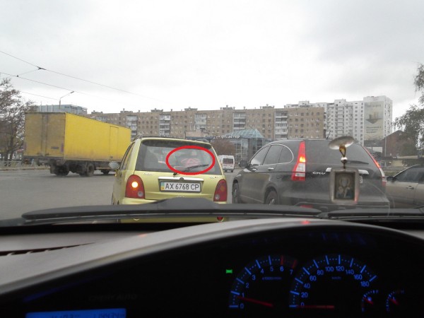 DSCF2129.JPG