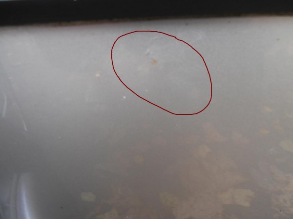 PA260066.JPG