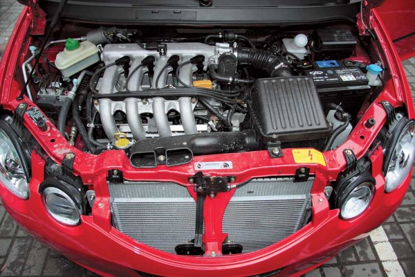 Chery-(11).jpg