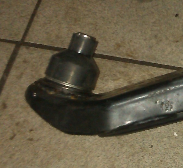 IMAG0028.jpg