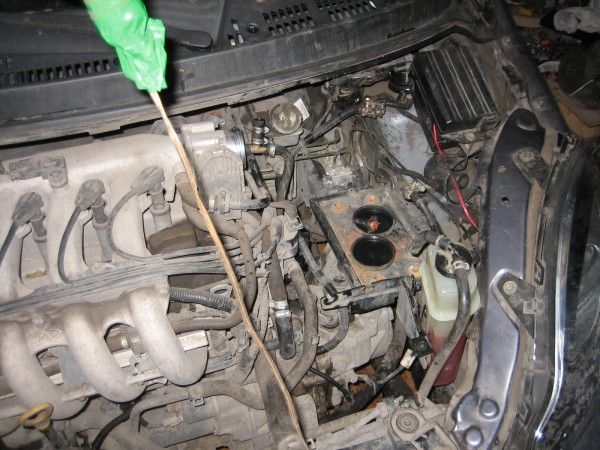 IMG_7373.jpg