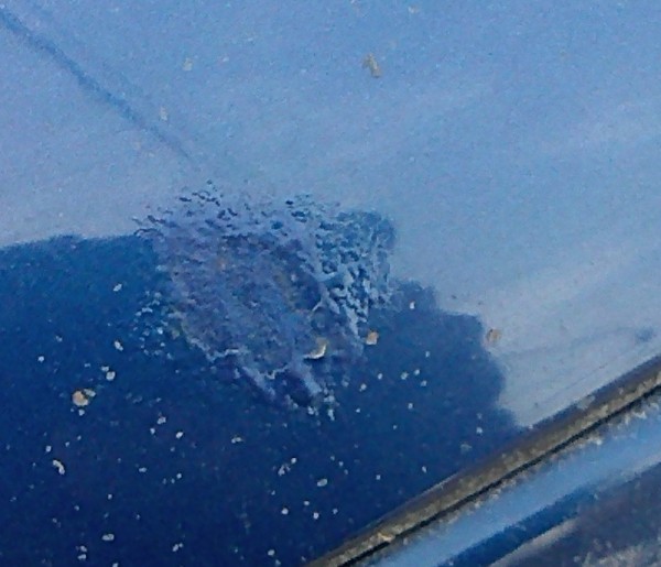 IMG018.jpg